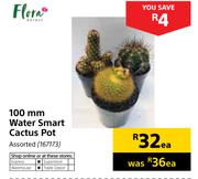 Flora 100mm Water Smart Cactus Pot-Each