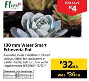 Flora 100mm Water Smart Echeveria Pot-Each