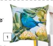 Design House Scatter Cushions Sunbird 500mm x 500mm-Each