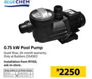 Blue Chem 0.75Kw Pool Pump