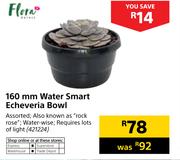 Flora 160mm Water Smart Echeveria Bowl