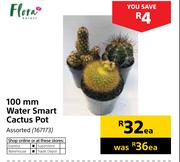 Flora 100mm Water Smart Cactus Pot-Each