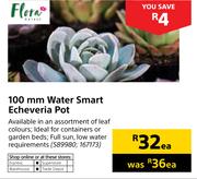 Flora 100mm Water Smart Echeveria Pot-Each
