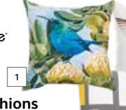 Design House Scatter Cushions Sunbird 500mm x 500mm-Each