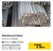 Reinforced Steel Y10 6.0m-Each