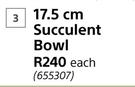 17.5cm Succulent Bowl-Each