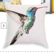 Designhouse Scatter Cushions Humming Bird 500mm x 500mm-Each