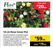 Flora 14cm Rose Cover Pot-Each