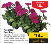 Assorted Seedlings-Each