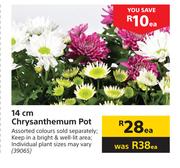 14cm Chrysanthemum Pot-Each