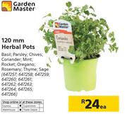 Garden Master 120mm Herbal Pots-Each