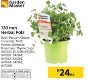 Garden Master 120mm Herbal Pots-Each