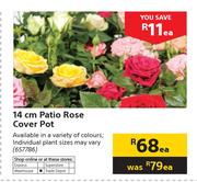 14cm Patio Rose Cover Pot-Each