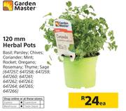 Garden Master 120mm Herbal Pots-Each