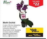 Flora Moth Orchid-Each