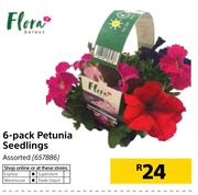Flora 6-Pack Petunia Seedlings Assorted