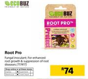 Ecobuz Root Pro