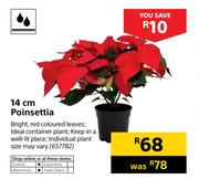 14cm Poinsettia