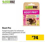Ecobuz Root Pro