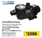 Blue Chem 0.75kW Pool Pump
