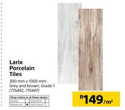 Larix Porcelain Tiles 300mm X 1000mm-Per Sqm