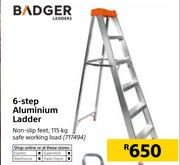 Badger 6 Step Aluminium Ladder