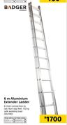 Badger 6m Aluminium Extender Ladder