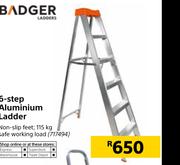 Badger 6 Step Aluminium Ladder