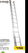 Badger 6m Aluminium Extender Ladder