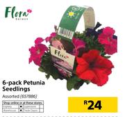 Flora 6-Pack Petunia Seedlings Assorted