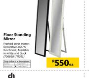 Floor Standing Mirror-Each