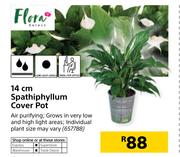 Flora 14cm Spathiphyllum Cover Pot