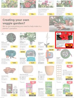 Builders Superstore Inland : The Best Deals On The Widest Range (22 Oct - 17 Nov 2019), page 4