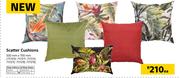 Scatter Cushions-500mm X 700m Each