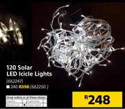 240 Solar LED Icicle Lights