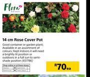 Flora 14cm Rose Cover Pot-Each