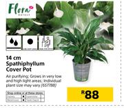 Flora 14cm Spathiphyllum Cover Pot