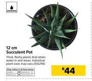 12cm Succulent Pot