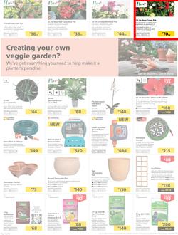 Builders Superstore KZN & EL : The Best Deals On The Widest Range (22 Oct - 17 Nov 2019), page 4