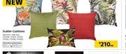 Scatter Cushions-500mm X 700m Each
