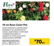 Flora 14cm Rose Cover Pot-Each