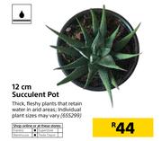 12cm Succulent Pot