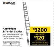 Badger Aluminium Extender Ladder