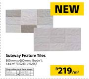 Subway Features Tiles-300mm X 600mm Per Sqm