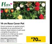 Flora 14cm Rose Cover Pot-Each
