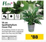 Flora 14cm Spathiphyllum Cover Pot