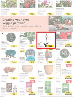 Builders KZN & EL : The Best Deals On The Widest Range (22 Oct - 17 Nov 2019), page 4