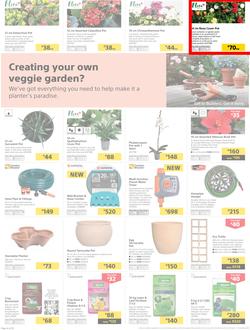 Builders KZN & EL : The Best Deals On The Widest Range (22 Oct - 17 Nov 2019), page 4