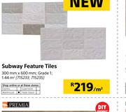 Subway Features Tiles-300mm X 600mm Per Sqm