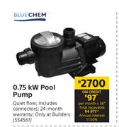 Blue Chem 0.75KW Pool Pump